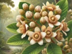 DALL·E 2024-12-09 16.29.11 - A detailed and realistic illustration of a mahogany flower (Swietenia macrophylla), showcasing its distinct small, yellowish-white flowers in a cluste