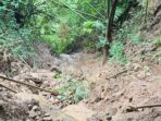 IMG-20250515-WA0014