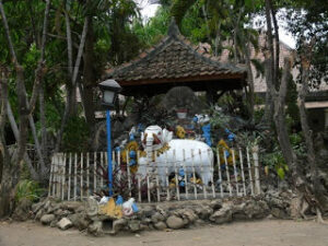 IMG-20250702-WA0023