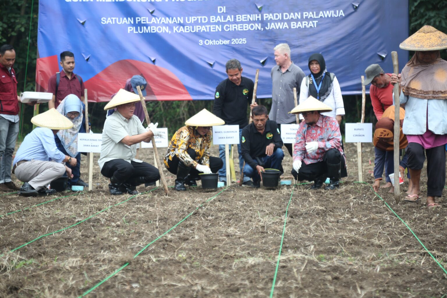 Bupati Imron: Kabupaten Cirebon Siap Jadi Sentra Sorgum, Alternatif Pangan Masa Depan