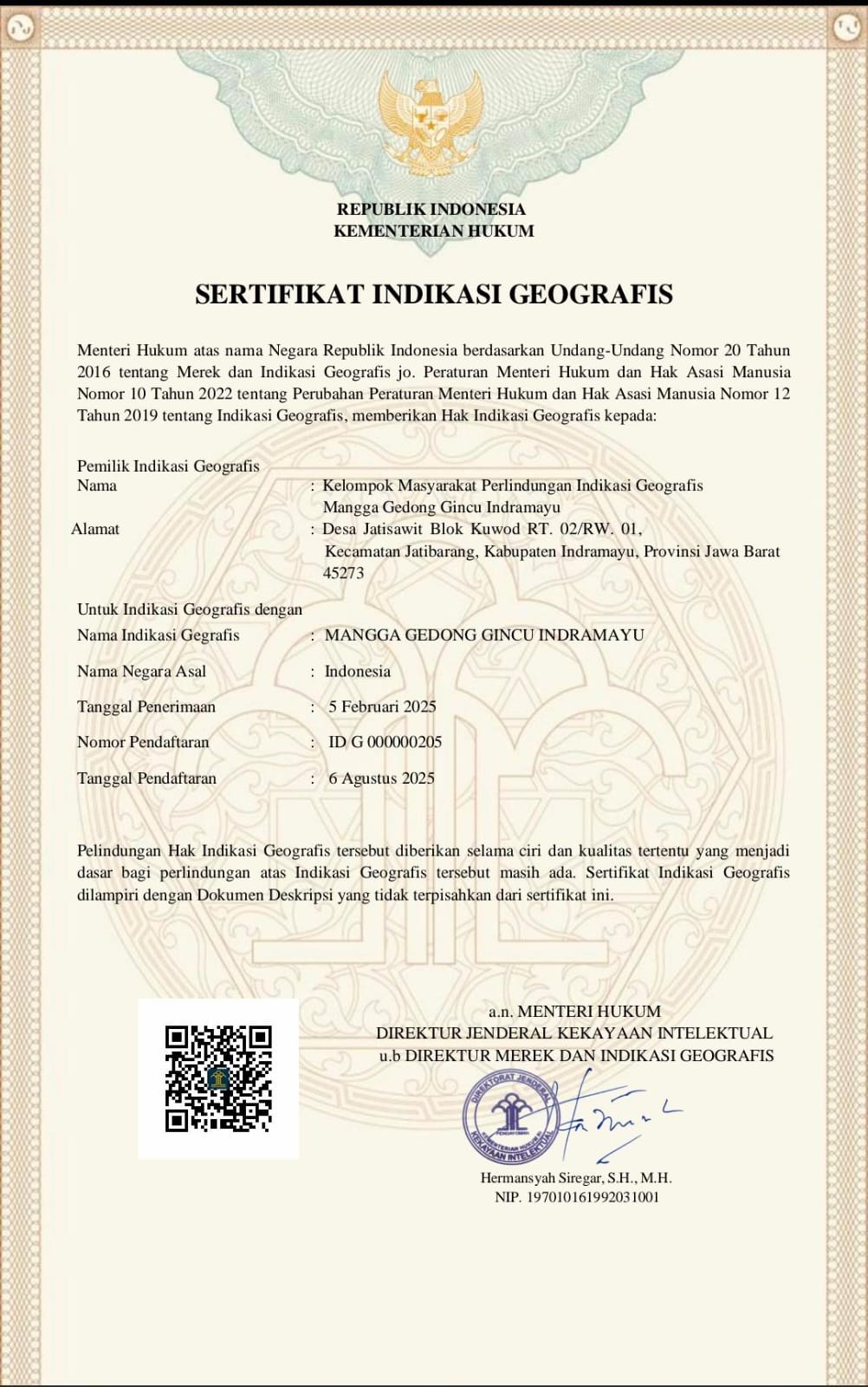 Kantongi Sertifikat Indikasi Geografis, Gedong Gincu Sah Jadi Mangga Khas Indramayu