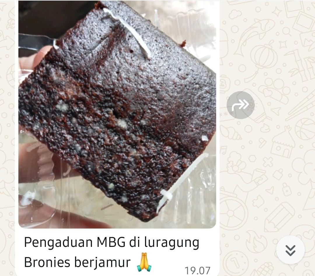 Kembali Bermasalah, Brownis MBG Luragung Ditemukan Berjamur
