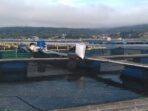 IMG-20210911-WA0013